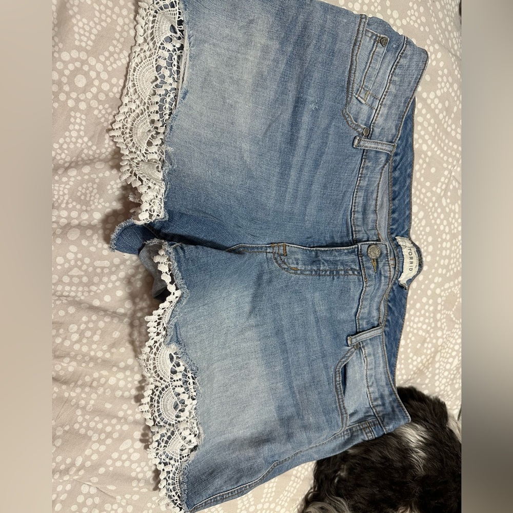 Torrid shorts
